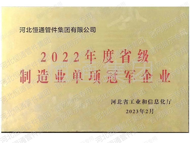 Provincial Manufacturing Single-Champion Enterprise (2022)