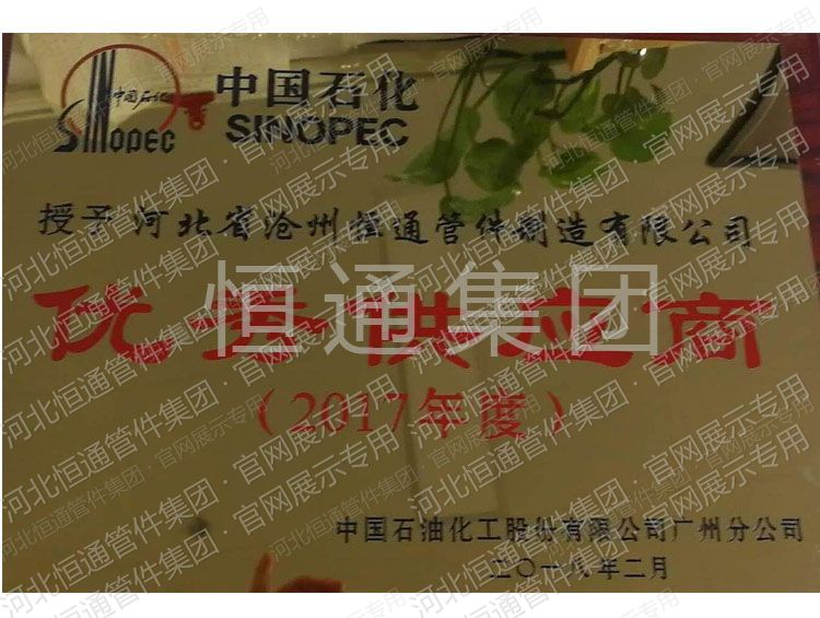 Outstanding Supplier — Sinopec (2017)