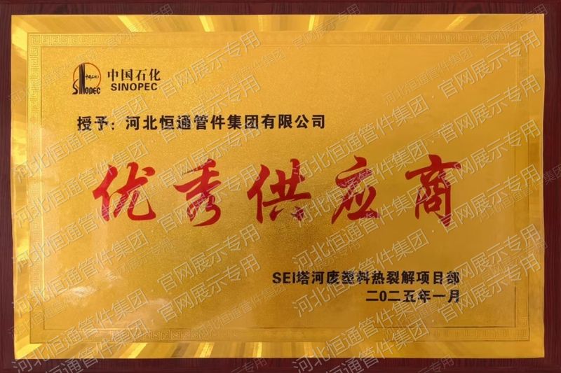 Outstanding Supplier — SEI Tahe Waste Plastic Pyrolysis Project (2025)